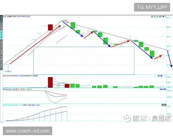 裁判规则详解：判罚标准与场上关键决策如何影响比赛走势